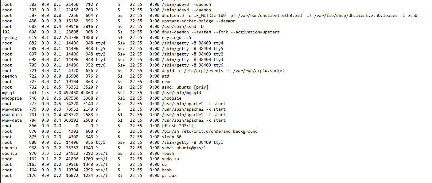 f5cb6766581ef8dba0a2a7d220380de1.png